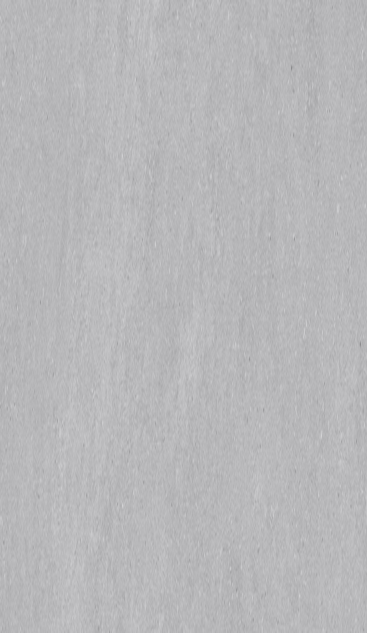 BATEIG GREY - textura