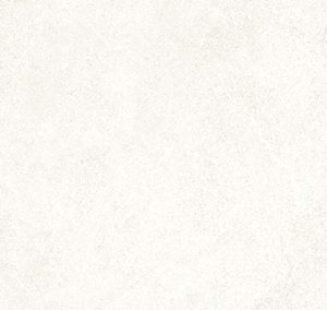 DHARA WHITE - Colorker