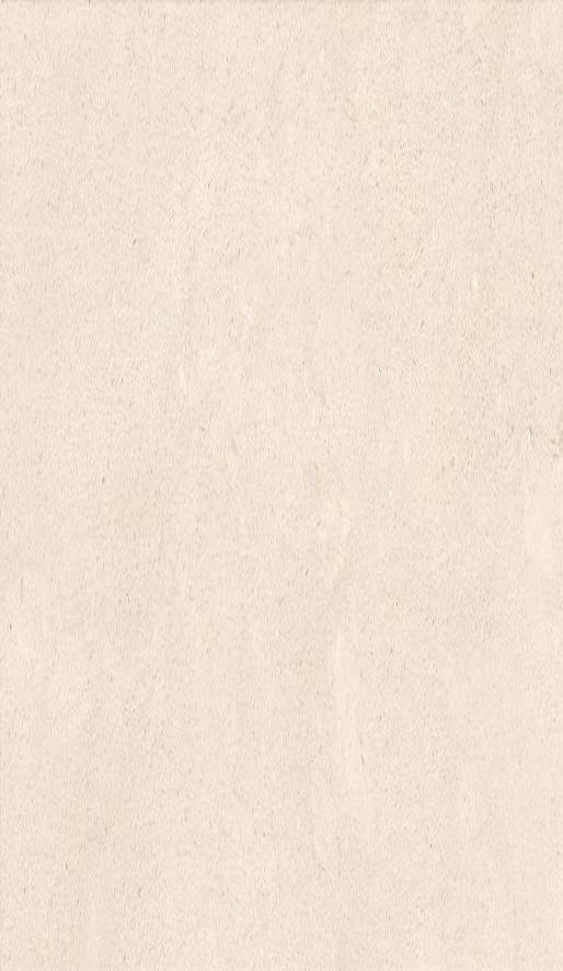 DORCIA STONE CREAM - Porcelanato
