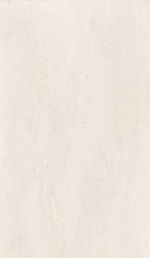 DORCIA STONE MOON - Porcelanato