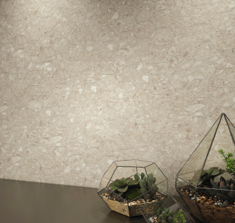 NATIVE CREAM - Colorker en ambiente