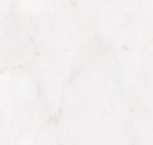 ROSELLA WHITE - Pro Concept