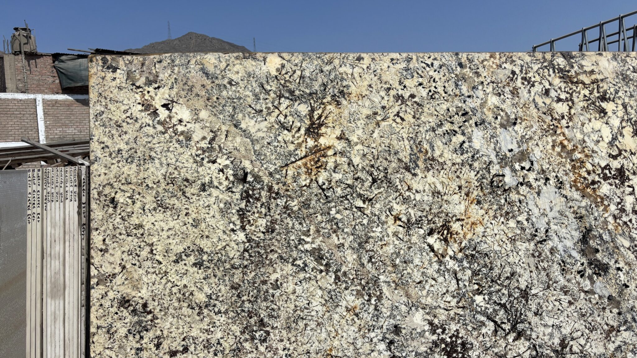 La plancha de Blanco Persa de cerca
