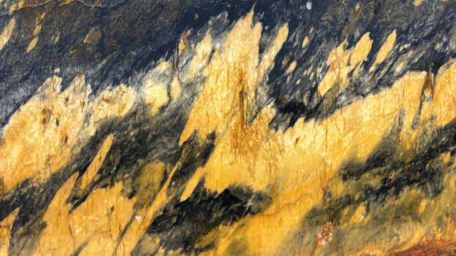 Detalle de la textura de Jacaranda