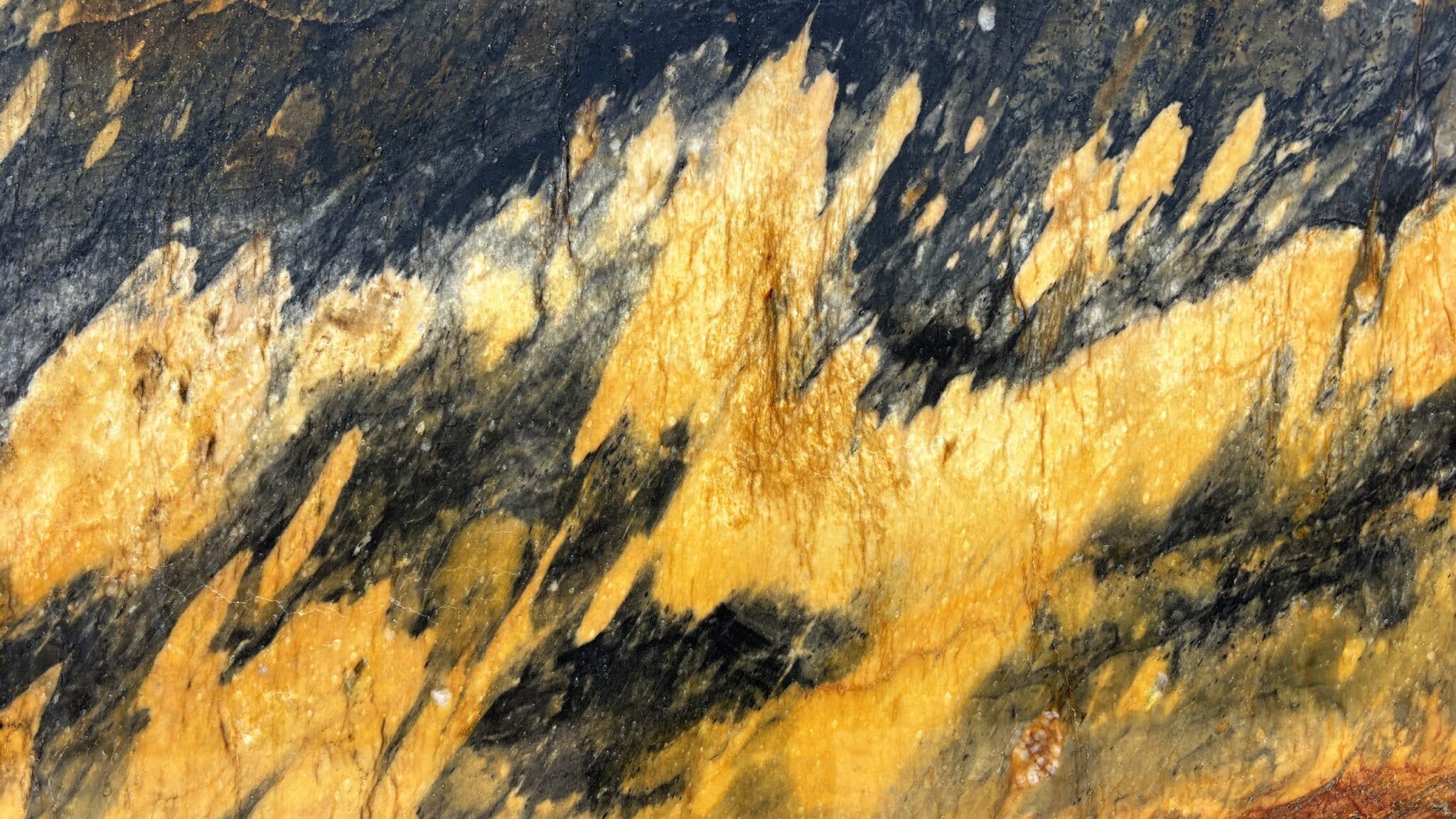 Detalle de la textura de Jacaranda