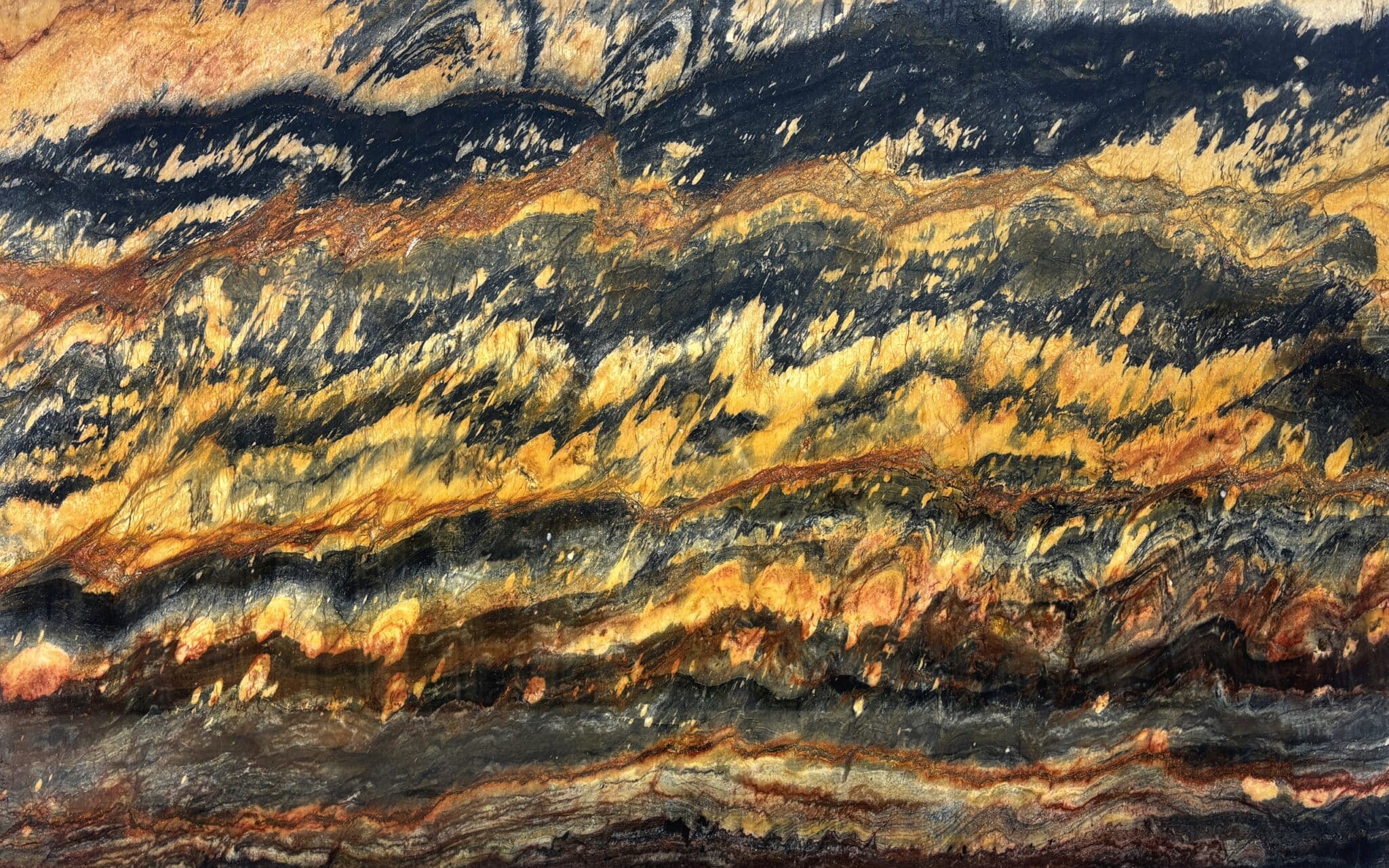 Plancha completa de Jacaranda, 310 × 198 cm