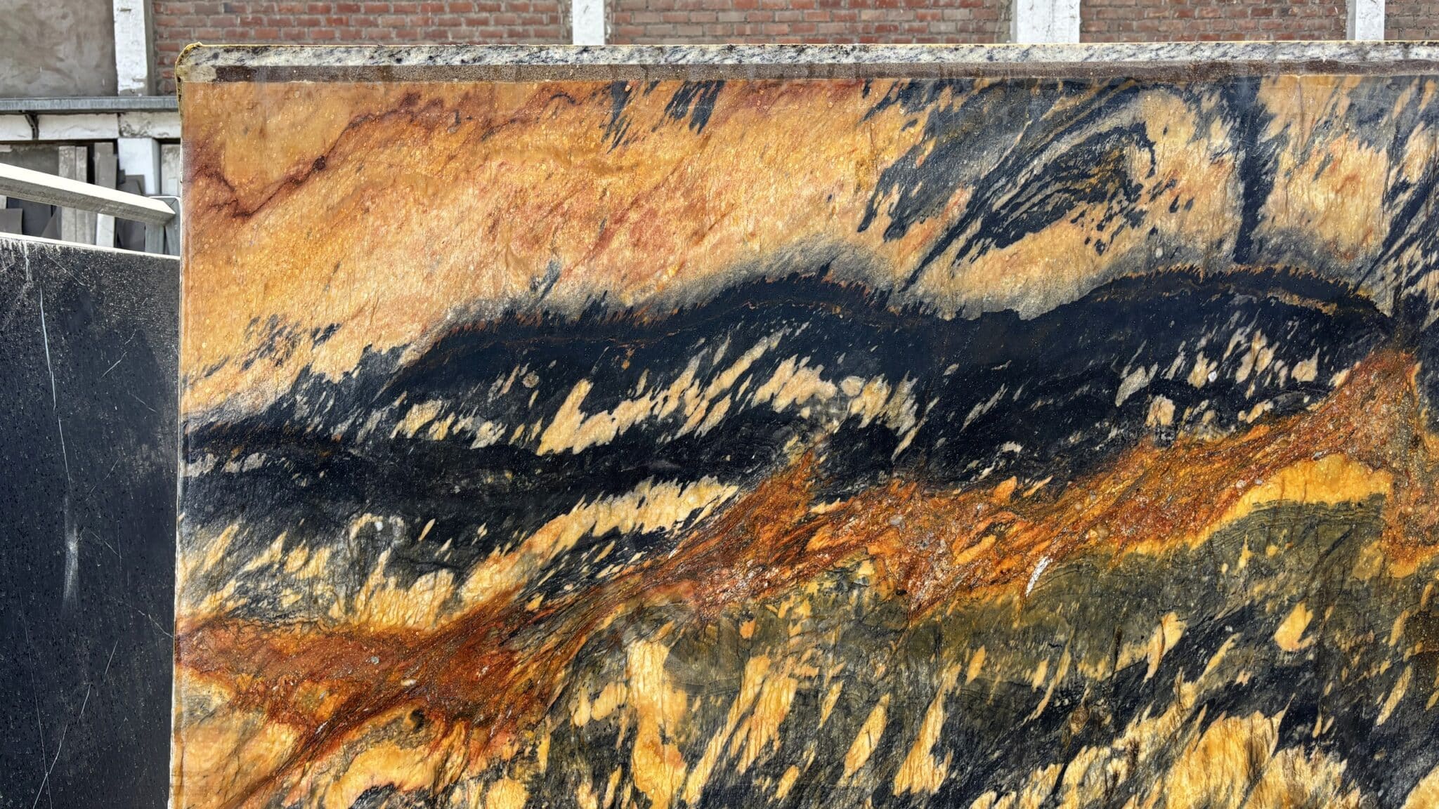 La plancha de Jacaranda de cerca