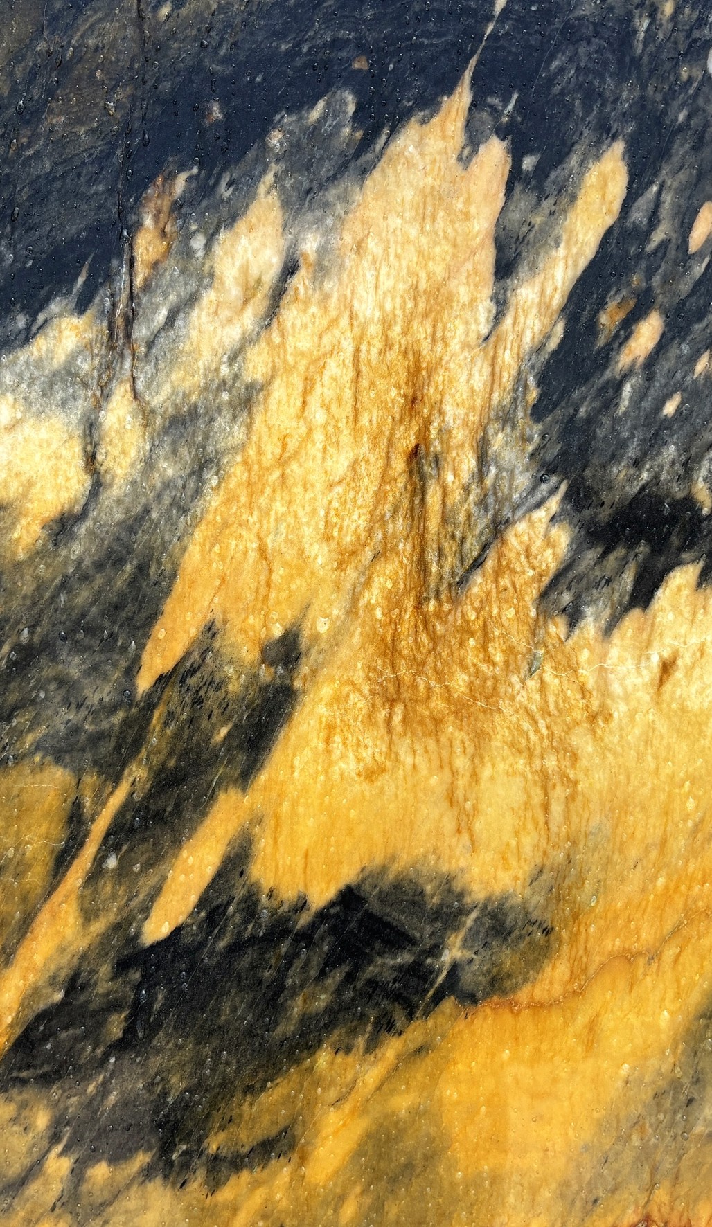 Textura de Jacaranda, granito exótico