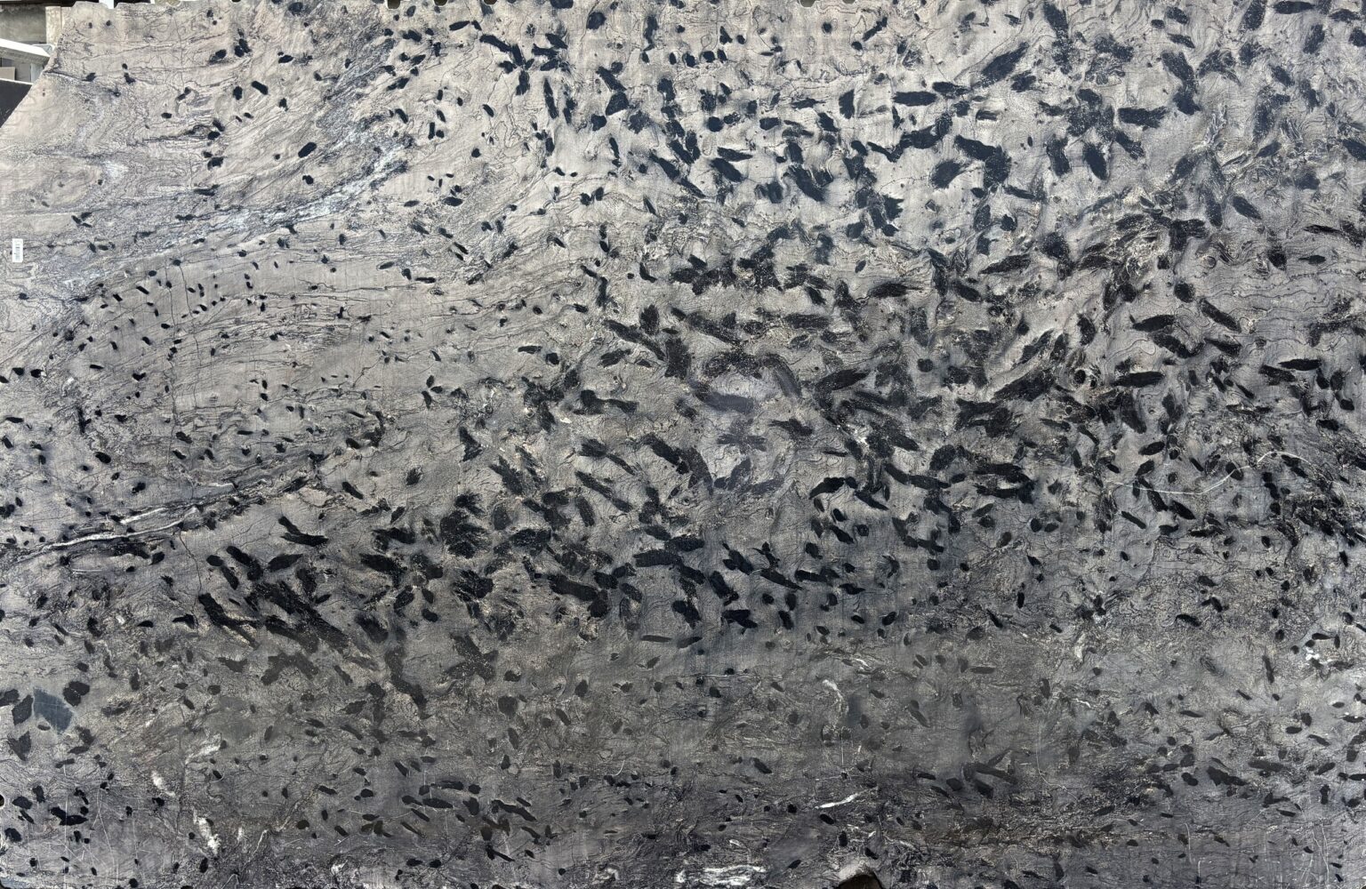 Plancha completa de Matrix, 295 × 190 cm