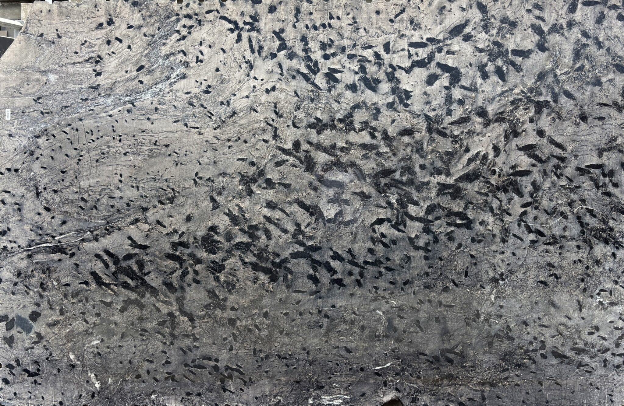 Plancha completa de Matrix, 295 × 190 cm