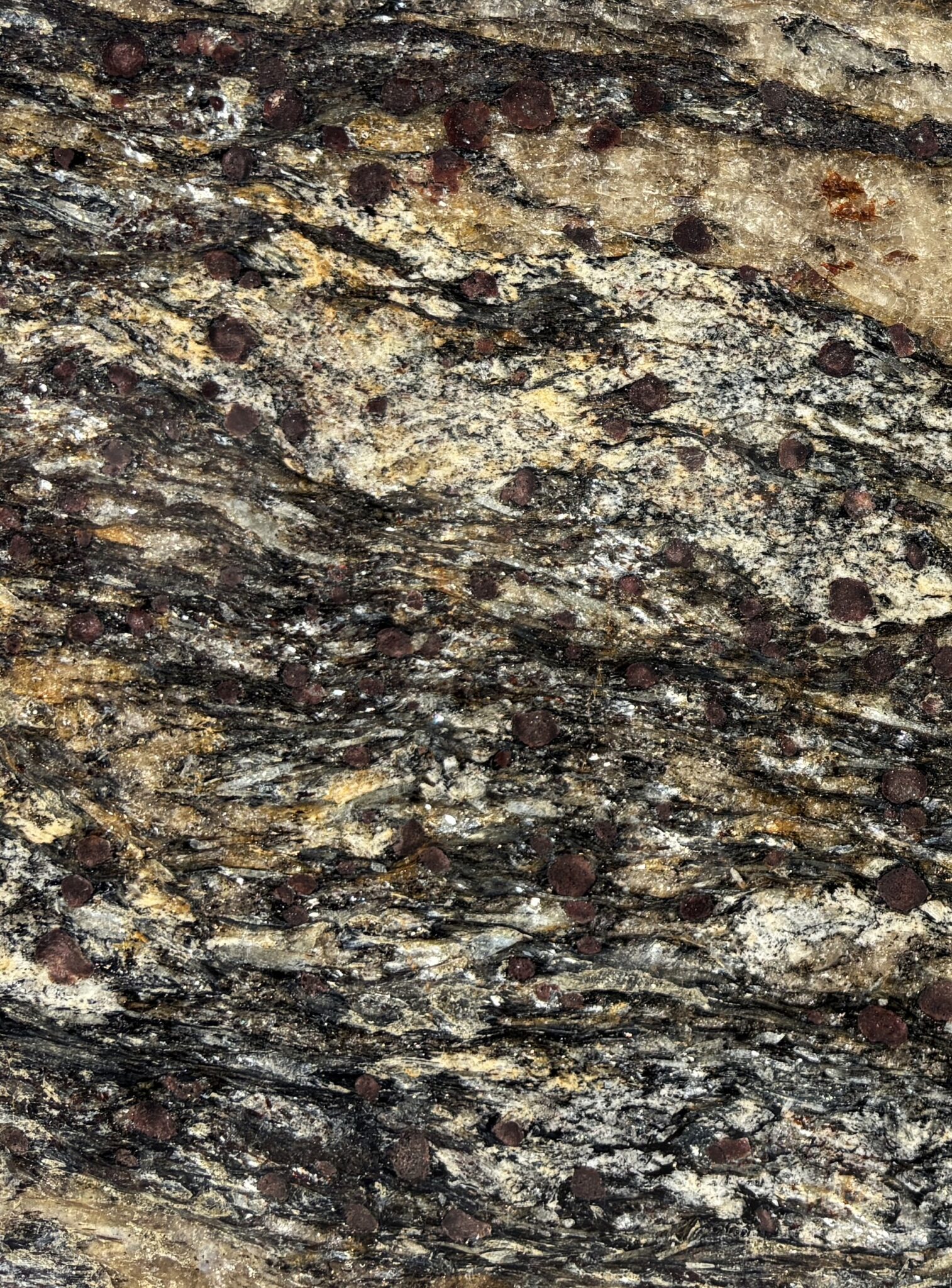 Detalle de la textura de Orion Light
