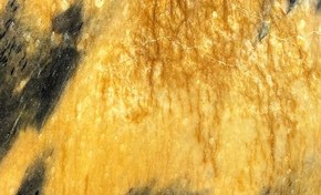 Granito Jacaranda - textura amarilla
