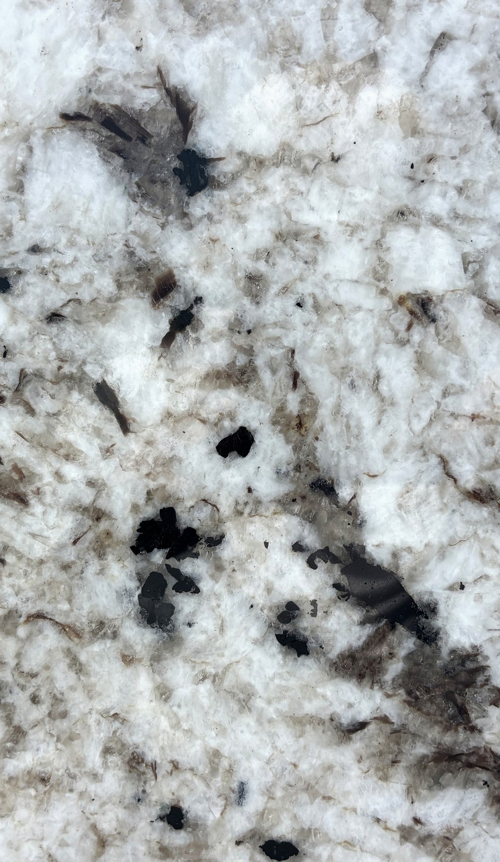 Textura de Blanco Everest, granito exótico