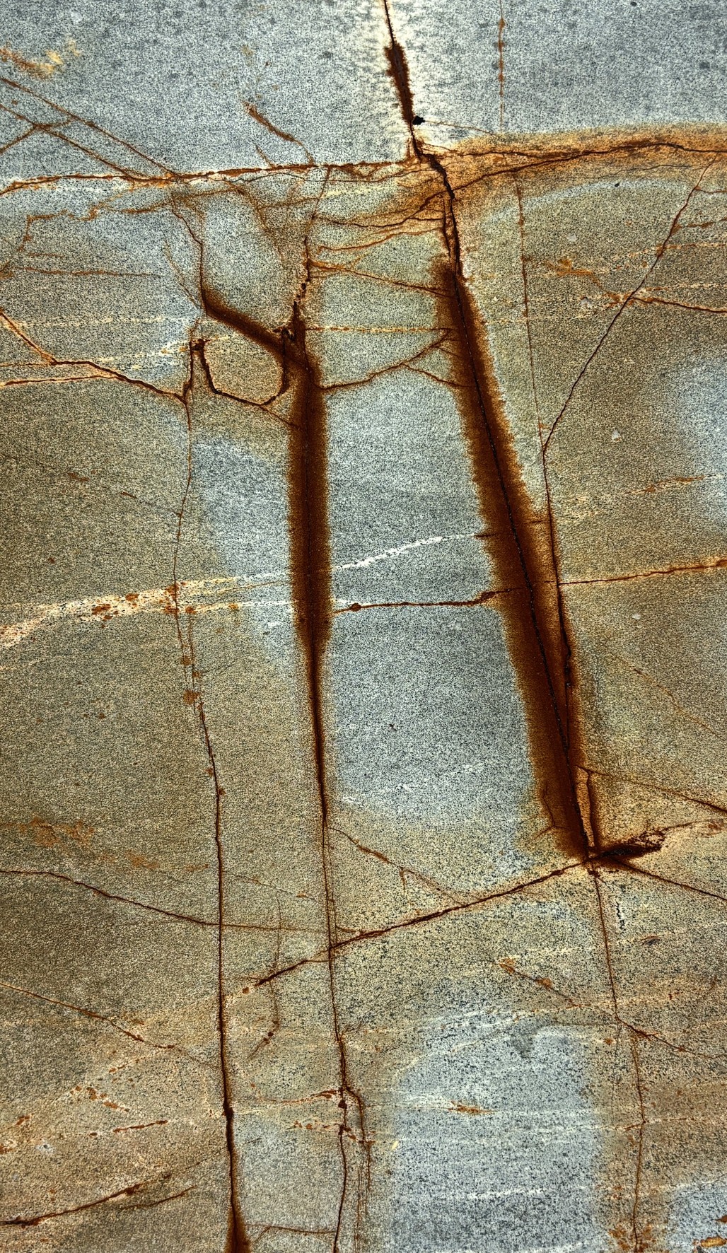 Textura de Blue Roma, cuarcita exótica