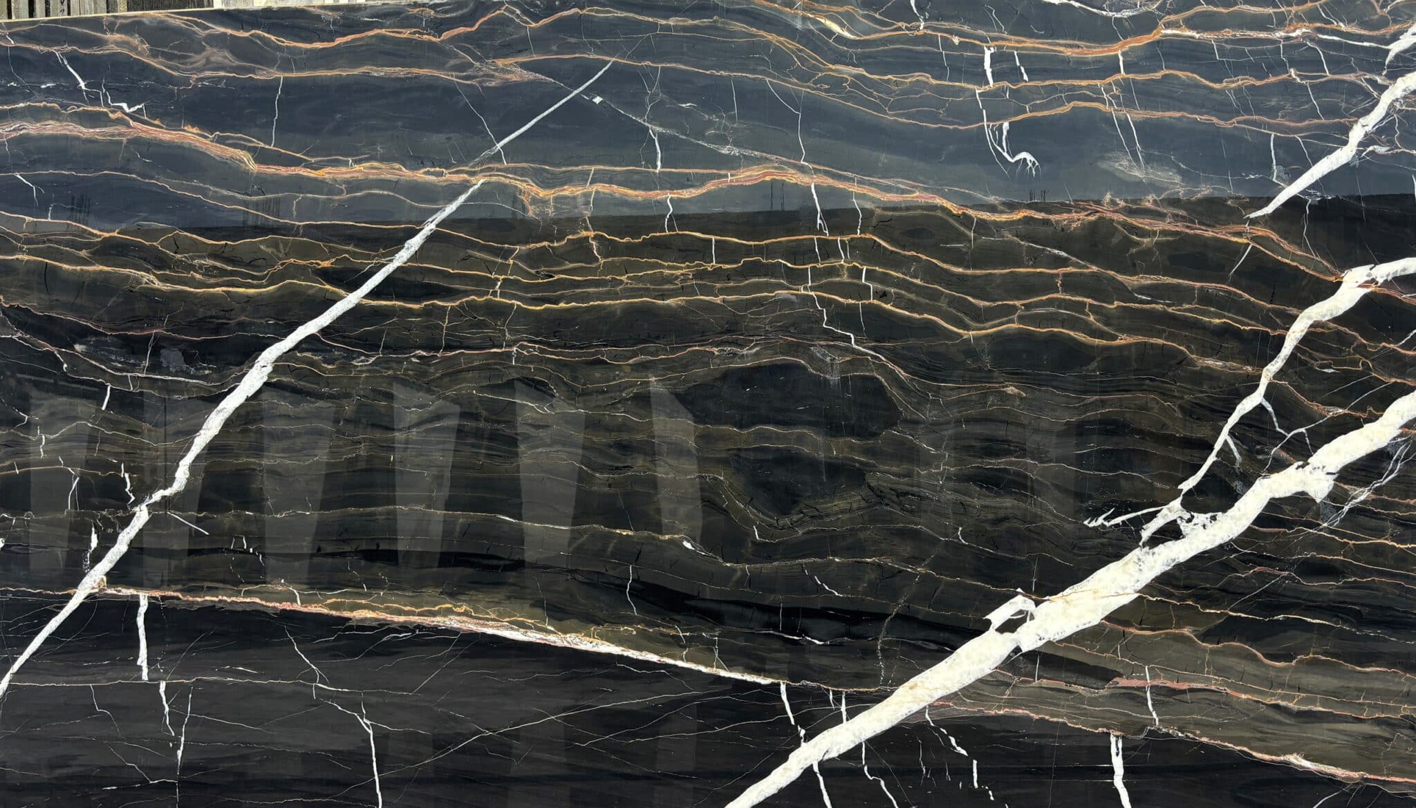 Plancha completa de Enigma, 318 × 180 cm