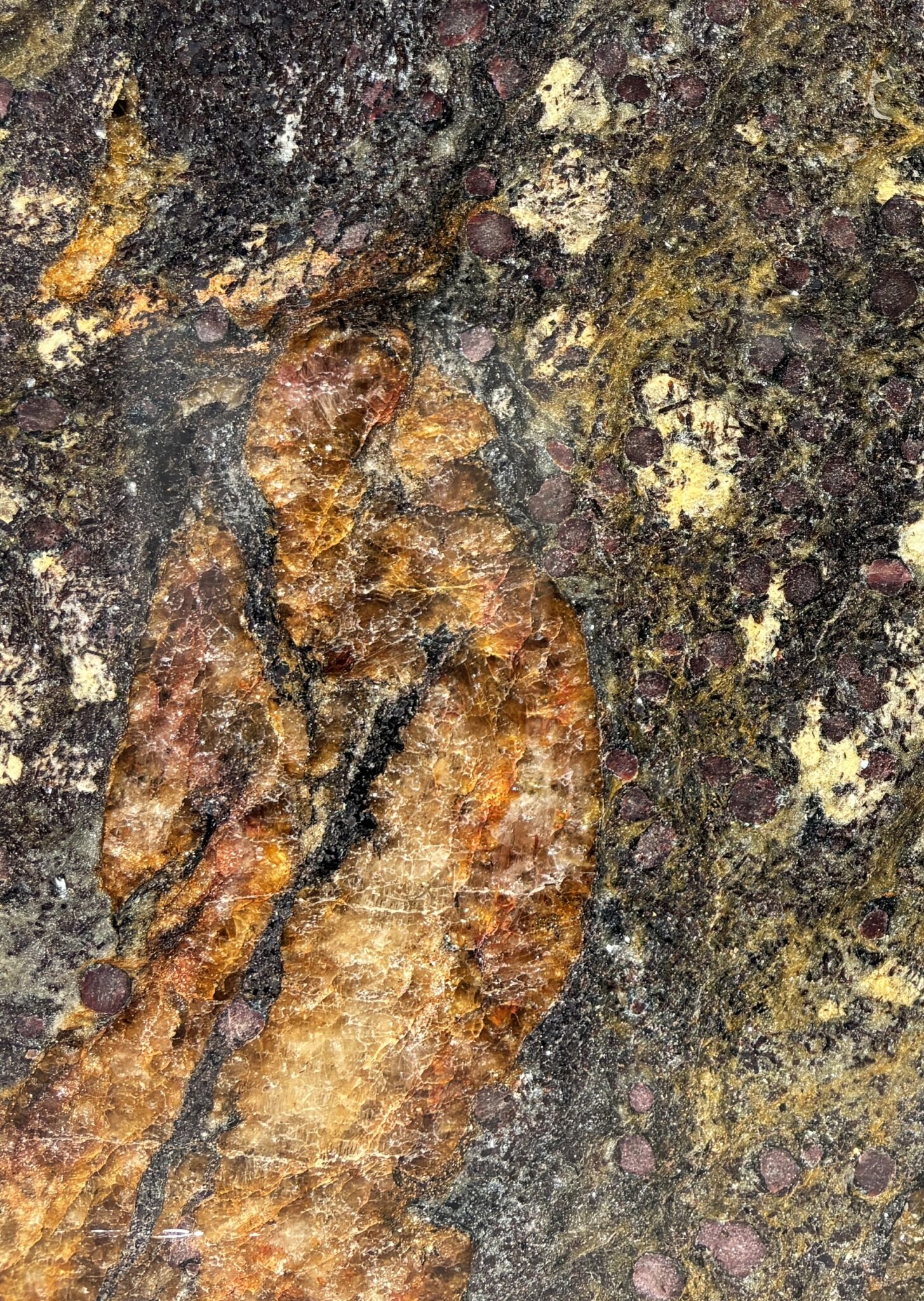 Detalle de la textura de Garuda