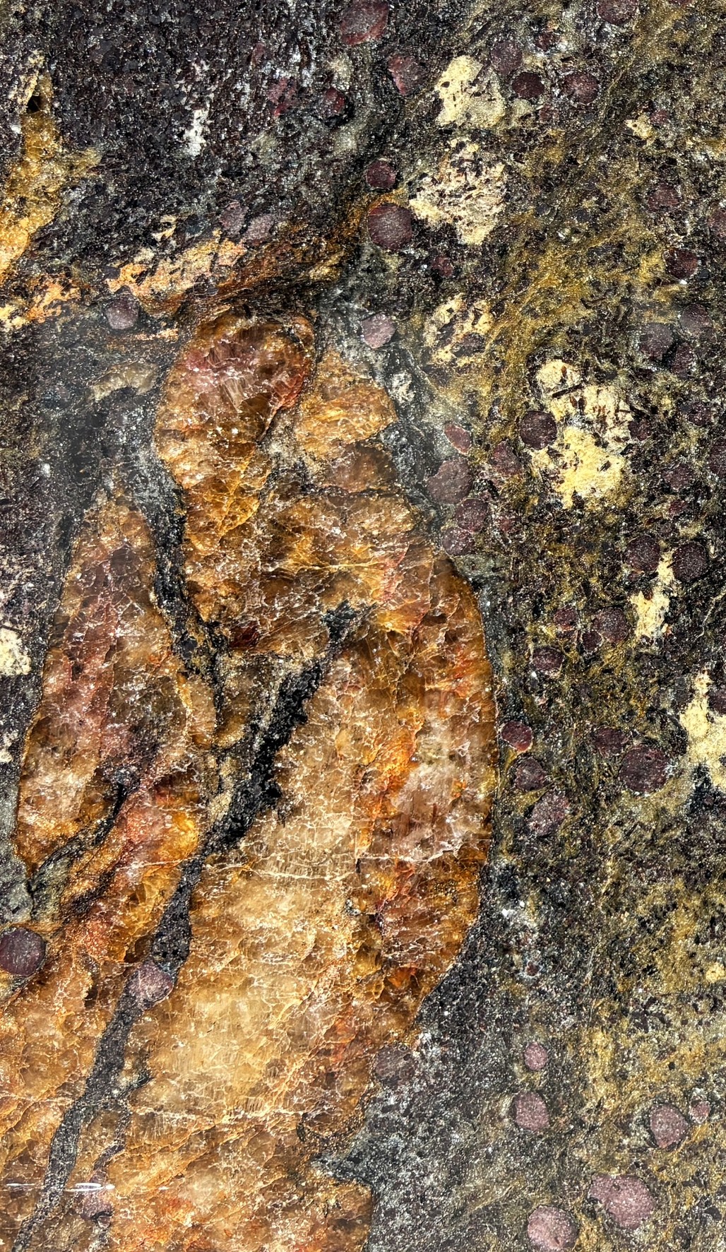 Textura de Garuda, granito exótico