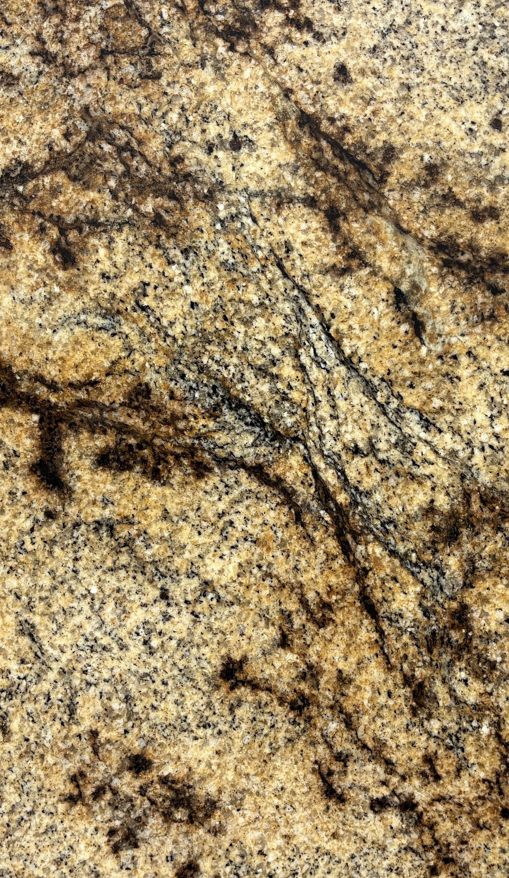 Textura de Jaguar, granito exótico