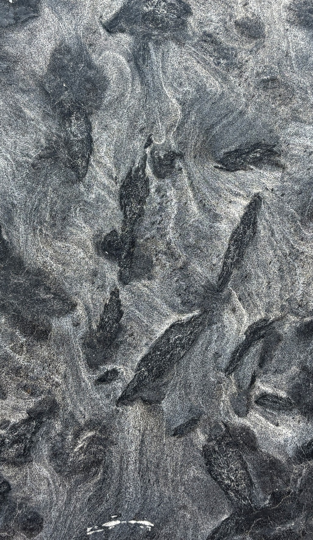 Textura de Matrix Leather, granito exótico