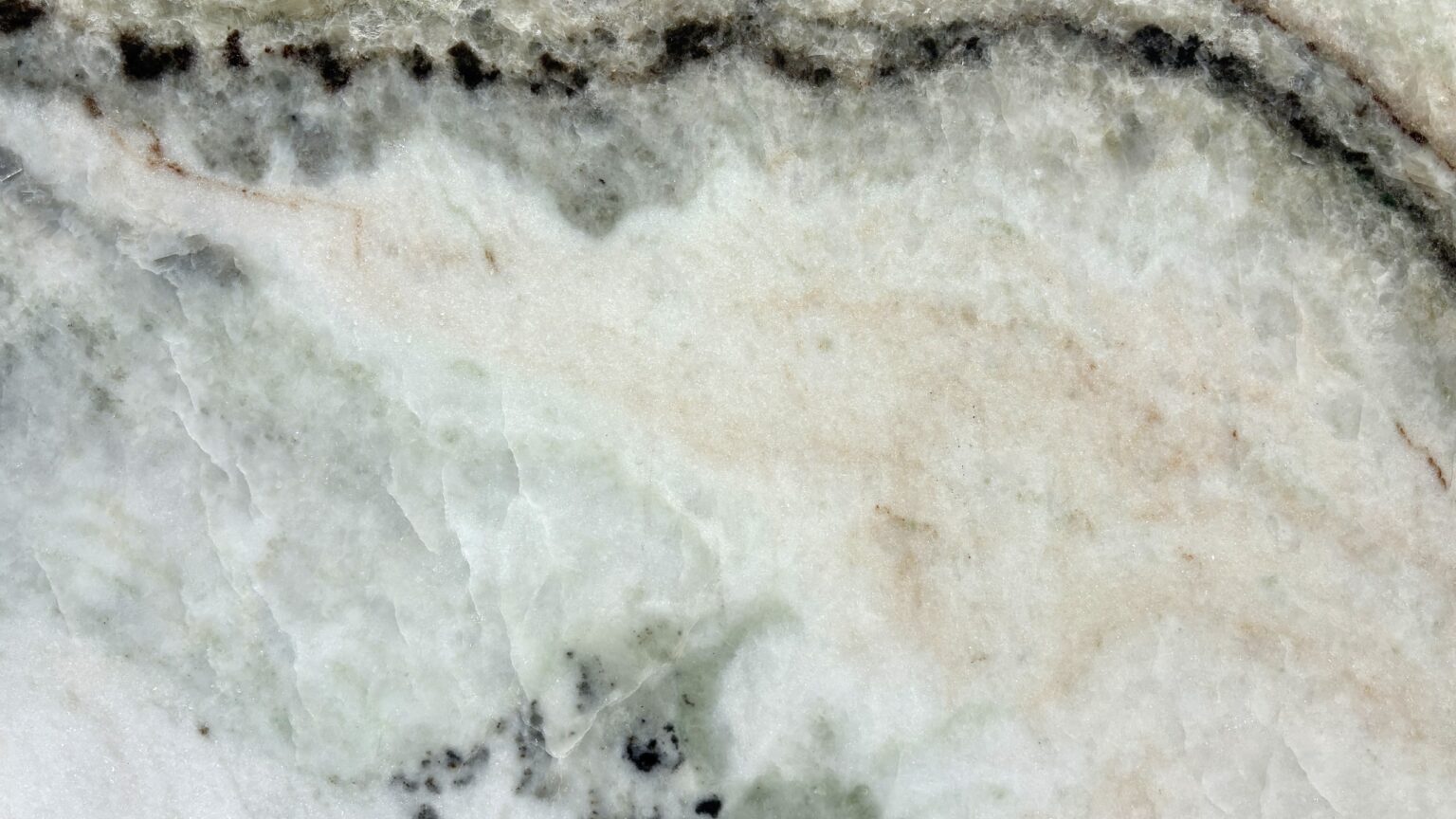 Detalle de la textura de Medusa