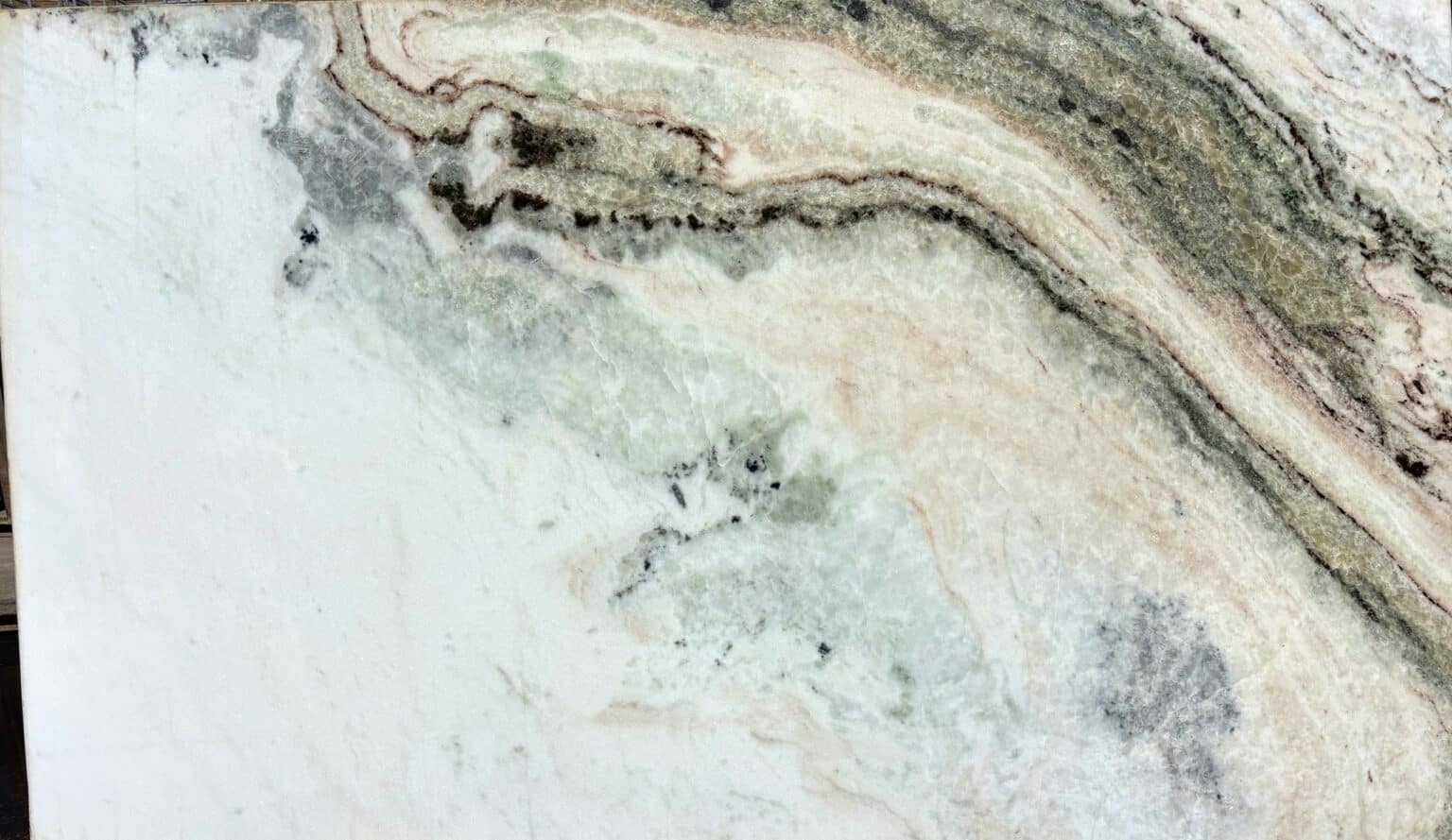 Plancha completa de Medusa, 310 × 186 cm
