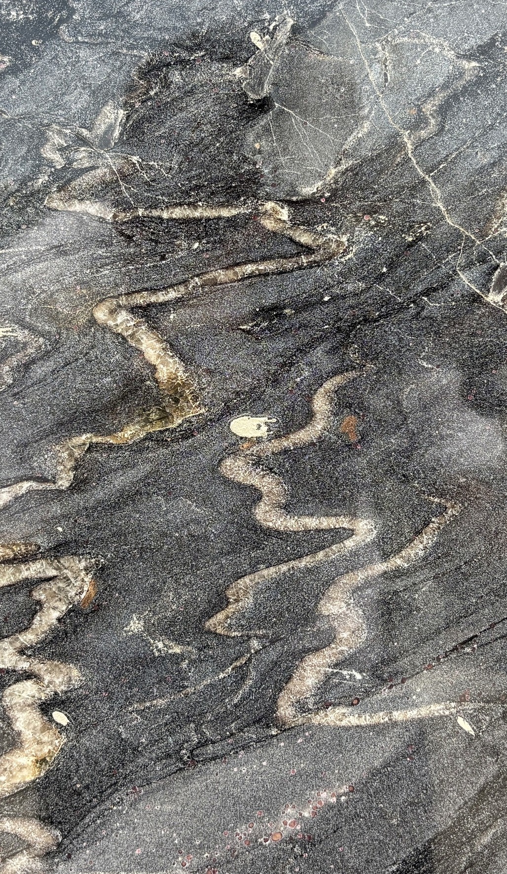 Textura de Negro Oro, granito exótico