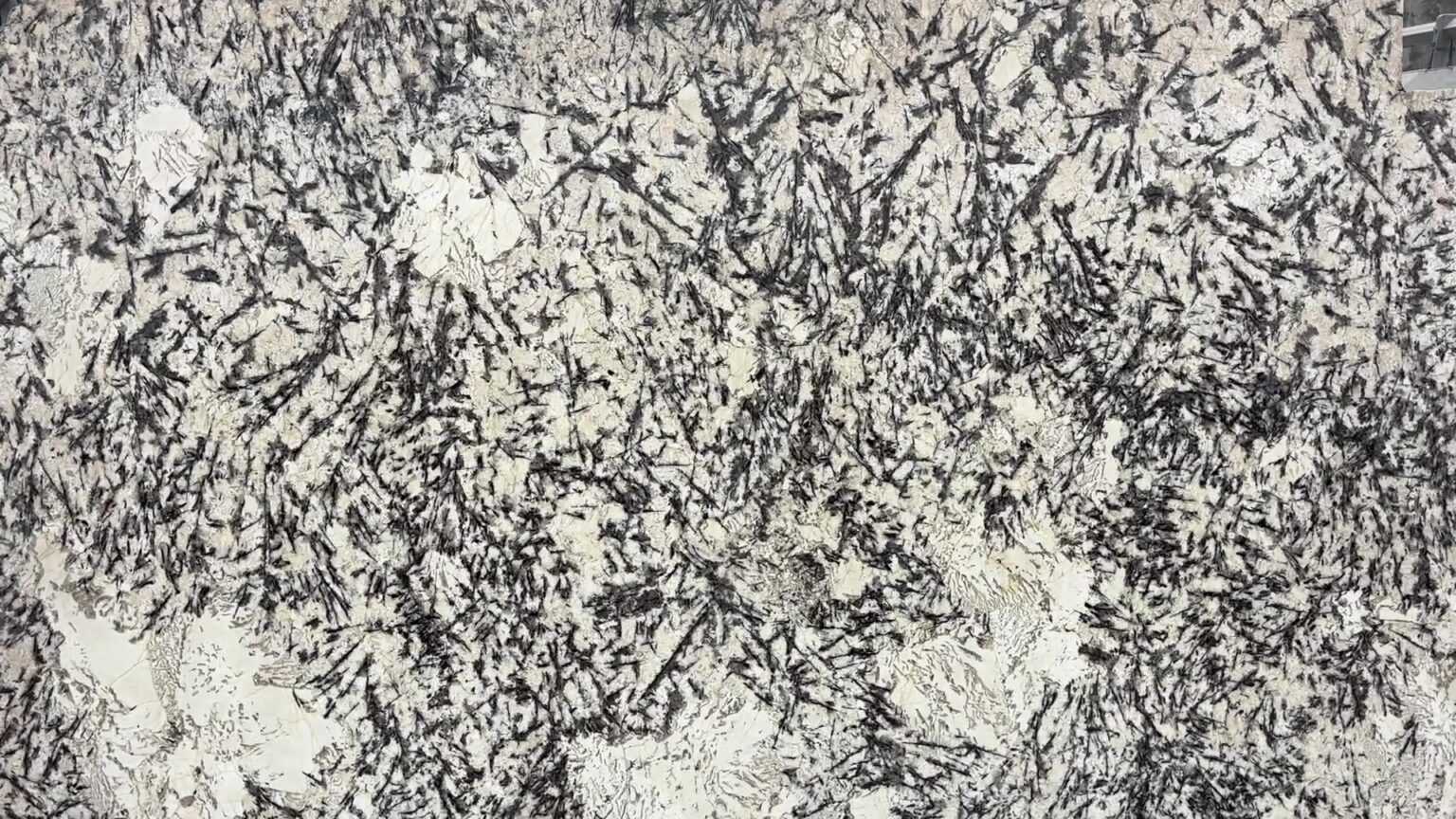 Vídeo de la plancha de Royal White