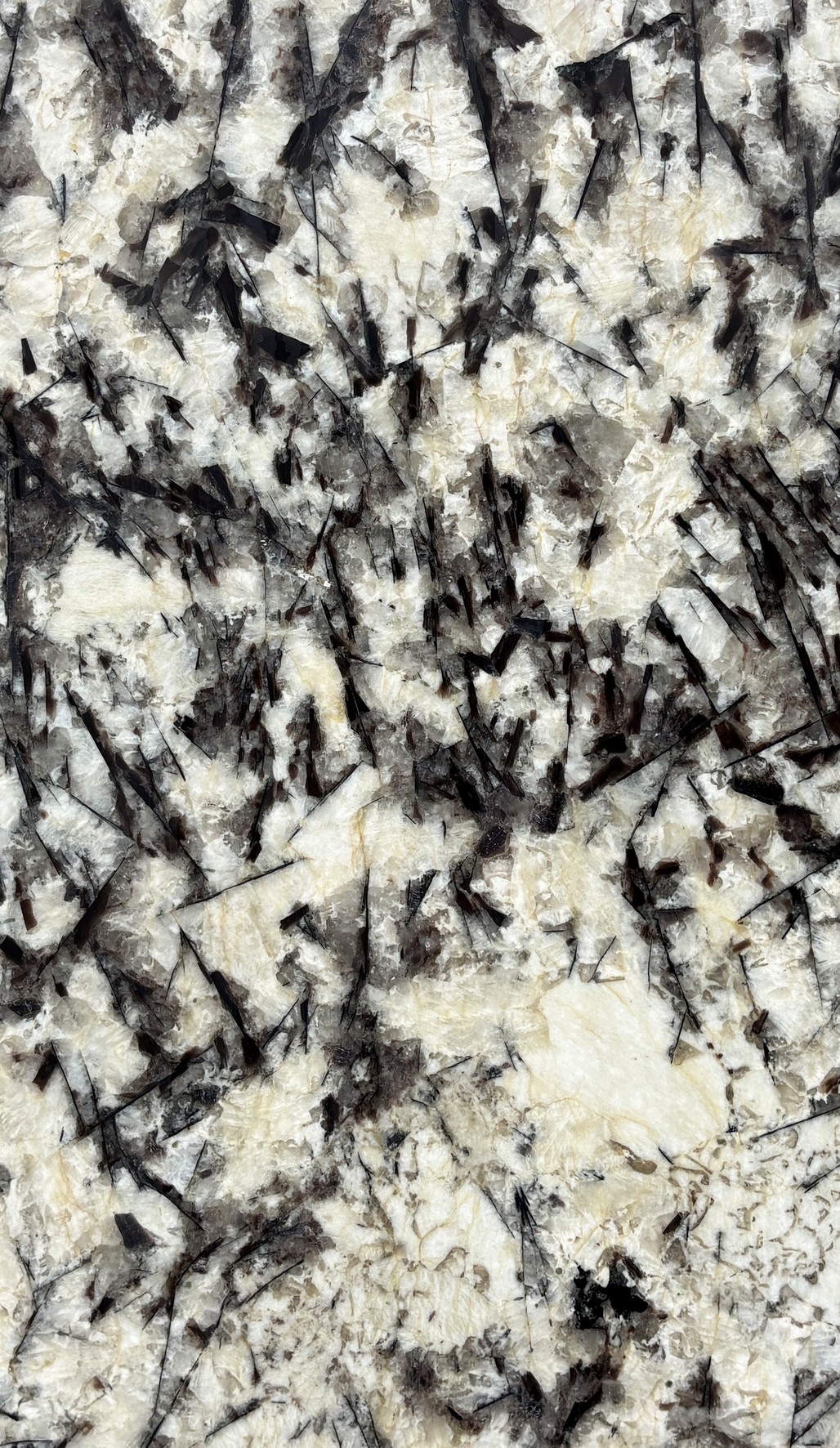 Textura de Royal White, piedra natural exótica