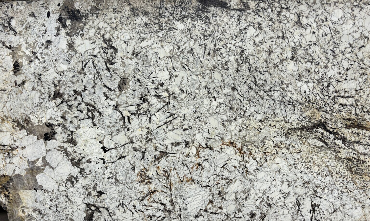 Plancha completa de Splendour, 326 × 196 cm