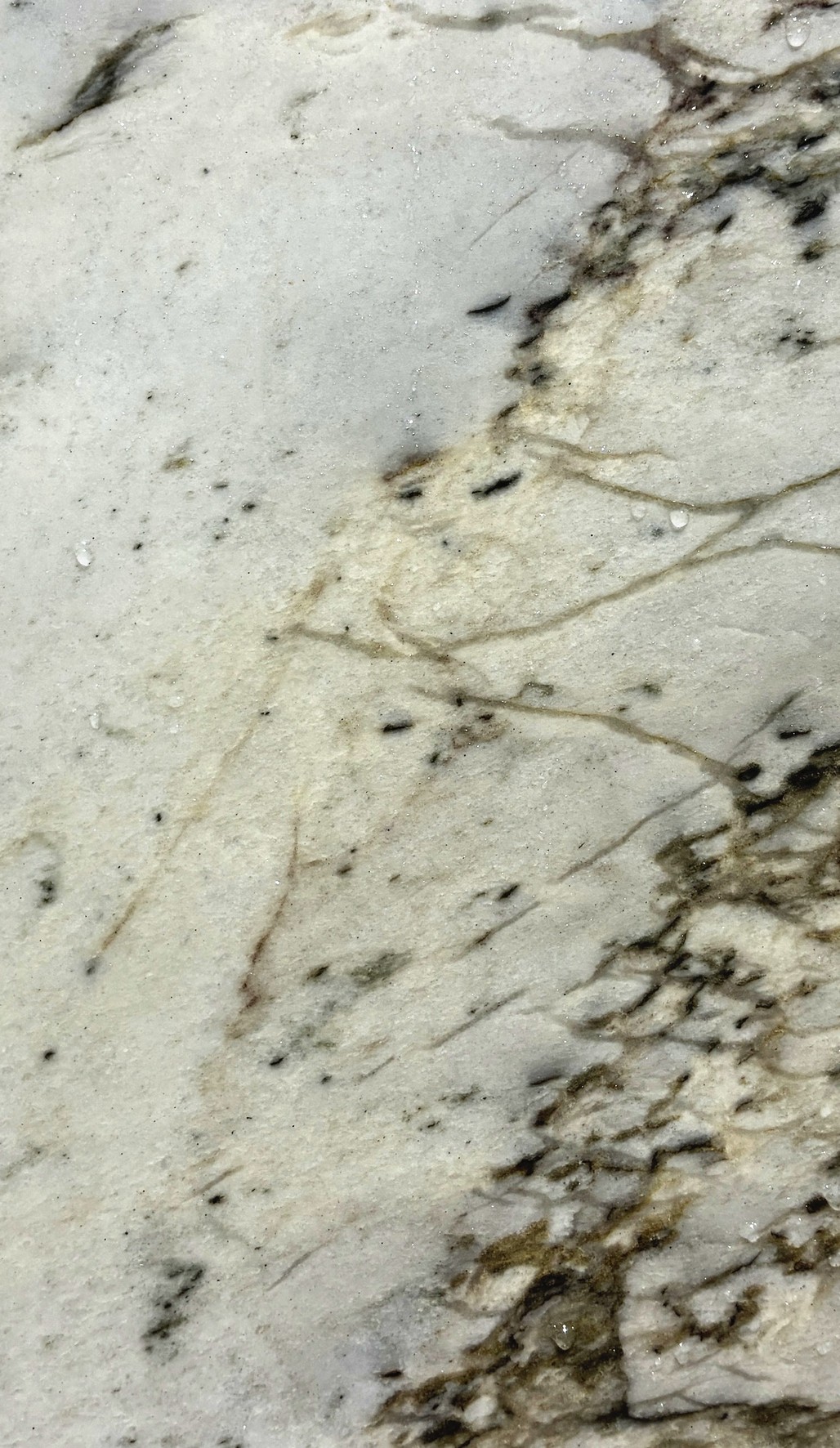 Textura de Statuarieto, piedra natural exótica