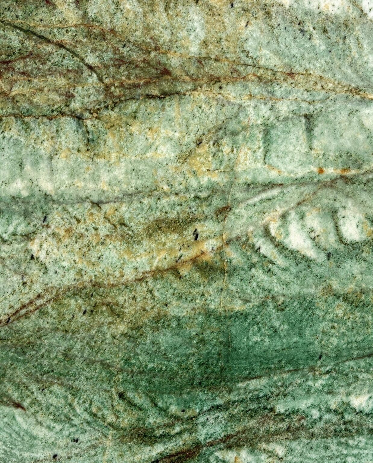 Plano medio de VERDE CAYON