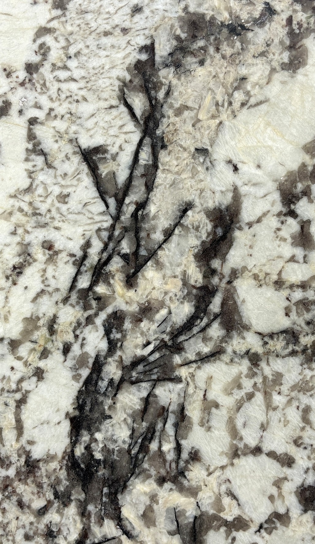 Textura de White Orion, piedra natural exótica